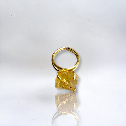 Golden Water Ring | SwansNature