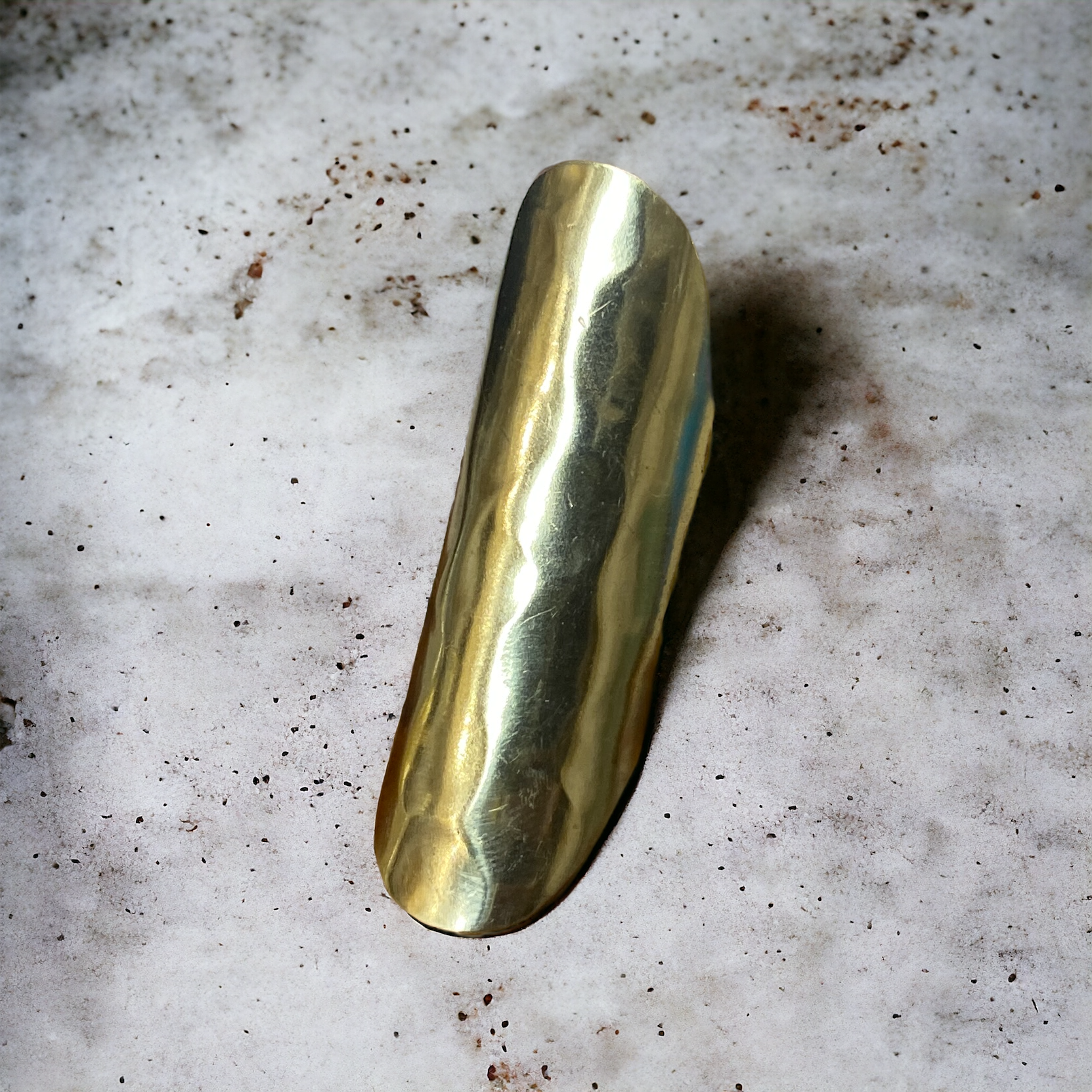 Warrior Ring 2.0 | SwansNature