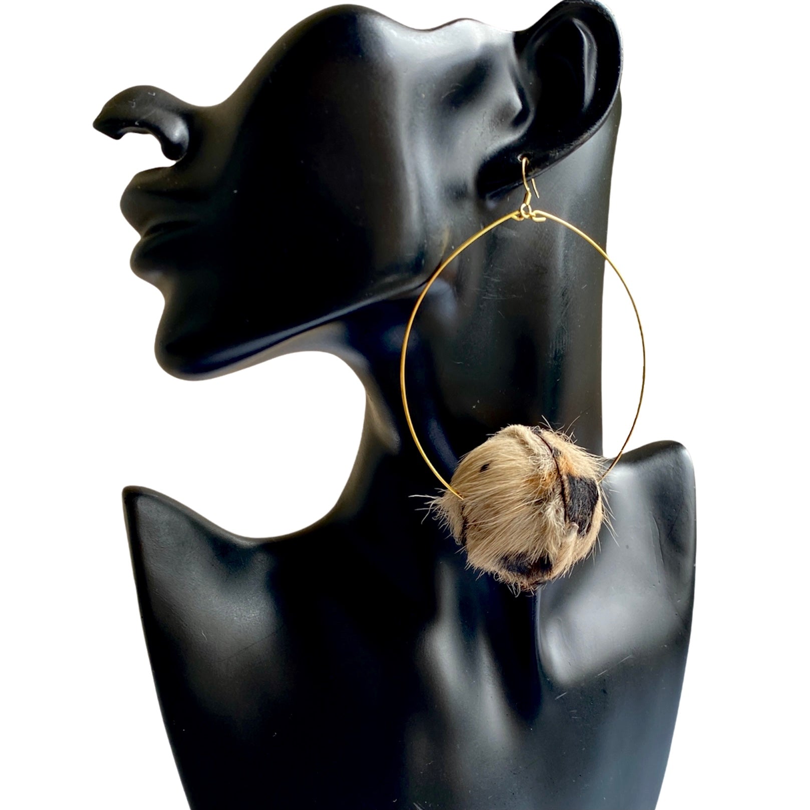 Exotic Hoops | SwansNature