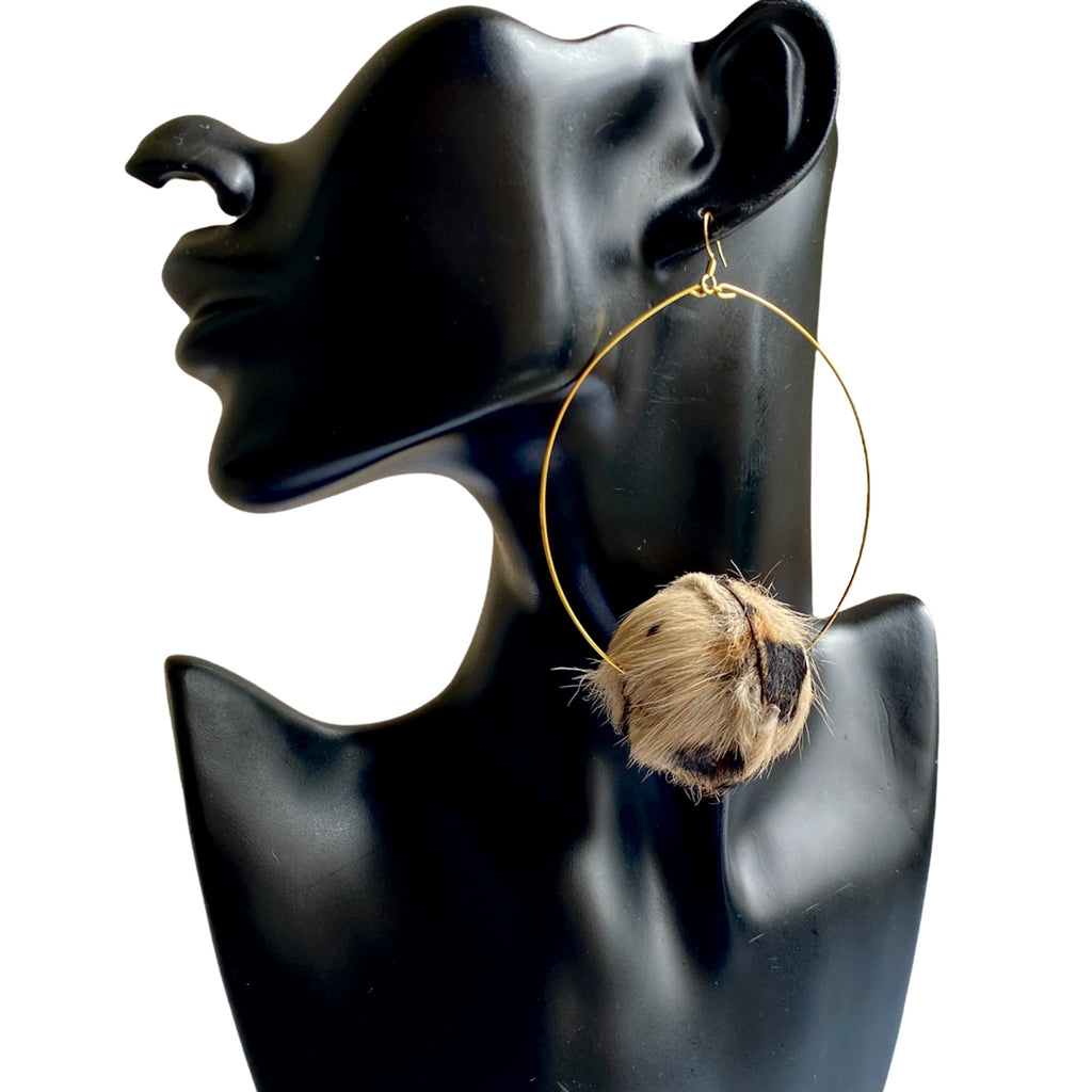 Exotic Hoops | SwansNature