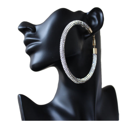 Stardust Platinum Hoops | SwansNature